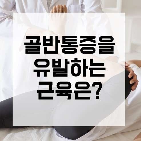 경기.안산시-단원구-라인미바디컨설팅 | 매장사진 (4/20) | 홈타이코리아